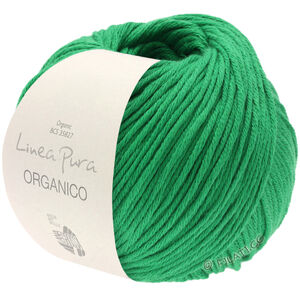 Lana Grossa ORGANICO (Linea Pura) | 129-vert