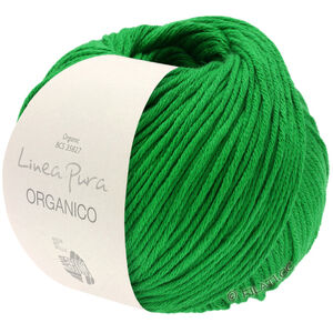 Lana Grossa ORGANICO (Linea Pura) | 163-vert herbe