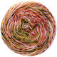 Lana Grossa PAPPAGALLO | 16-rose/rouge vin/jaune/blanc/mandarine/brun foncé