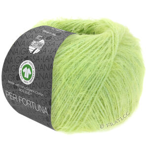 Lana Grossa PER FORTUNA (GOTS) | 27-vert clair