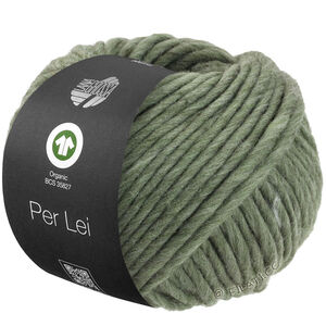 Lana Grossa PER LEI (GOTS) | 06-gris vert