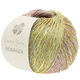 Lana Grossa ROMANZA (Linea Pura) | 08-menthe/gris vert/gris/gris aubergine/kaki/pistache