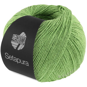 Lana Grossa SETAPURA | 11-vert clair