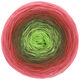 Lana Grossa SHADES OF COTTON | 120-fuchsia/rose vif/orange rouge/gris vert/vert clair