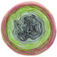 Lana Grossa SHADES OF MERINO COTTON | 617-gris foncé/gris clair/menthe/olive clair/olive/fuchsia