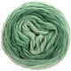 Lana Grossa SLOW WOOL LINO Dégradé | 203-vert pastel/gris vert/vert patine