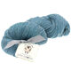 Lana Grossa SLOW WOOL LINO | 21-bleu gris