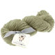 Lana Grossa SLOW WOOL LINO | 23-vert foin