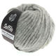 Lana Grossa SOFFILO | 03-gris clair chiné