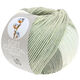 Lana Grossa SOFT COTTON Dégradé | 114-blanc/gris argent/gris clair/gris