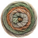 Lana Grossa SUPER COLOR | 113-beige/chameau/gris vert/orange clair