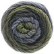 Lana Grossa SUPER COLOR | 115-jean clair/jean foncé/vert réséda/gris foncé