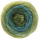 Lana Grossa SUPER COLOR | 116-olive foncé/pétrole foncé/olive/jaune moutarde/gris