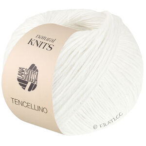 Lana Grossa TENCELLINO | 01-blanc