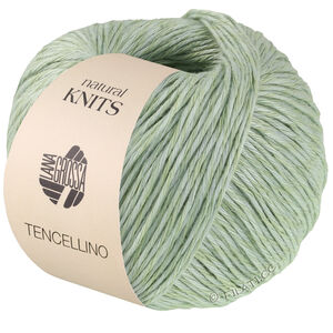 Lana Grossa TENCELLINO | 04-vert blanc