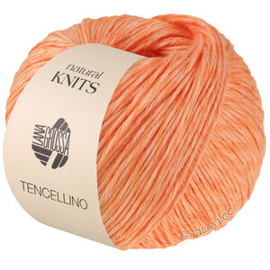 Lana Grossa TENCELLINO | 14-orange saumon