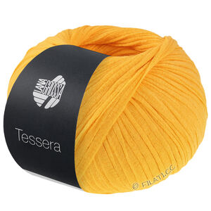 Lana Grossa TESSERA | 05-orange