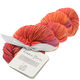 Lana Grossa UNICO (Linea Pura) | 10-bordeaux/rouge cuivre/orange foncé