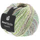 Lana Grossa VANITY (ABOUT BERLIN) | 05-vert/jean/rose pastel/nature multicolore
