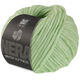 Lana Grossa WINTER SOFTNESS (Nera) | 03-vert blanc