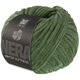 Lana Grossa WINTER SOFTNESS (Nera) | 04-forêt verte