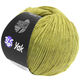 Lana Grossa 365 YAK | 05-vert jaune/gris clair