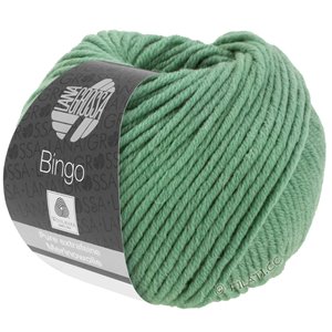 Lana Grossa BINGO  Uni/Melange | 196-gris vert