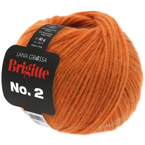Lana Grossa BRIGITTE NO. 2 | 32-orange cannelle