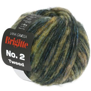 Lana Grossa BRIGITTE NO. 2 Tweed | 113-beige/gris clair/turquoise/loden