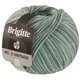 Lana Grossa BRIGITTE NO. 2 Vintage | 207-gris vert chiné