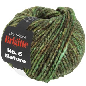 Lana Grossa BRIGITTE NO. 5 Nature | 103-vert/brun chiné