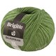 Lana Grossa BRIGITTE Silkdream | 19-vert