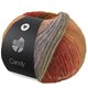 Lana Grossa CANDY | 09-nougat/brun chocolat/brun rouille/bleu acier/vert/fuchsia/pistache/menthe/turquoise/bleu gris/violet