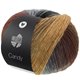 Lana Grossa CANDY | 10-gris clair/gris/gris foncé/noir/brun foncé/brun gris/chameau/bleu acier/brun rouge/bois de rose/laine blanche