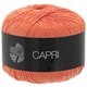 Lana Grossa CAPRI | 04-saumon