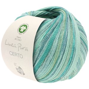 Lana Grossa CERTO Print (Linea Pura) | 106-gris vert/jade/bleu gris/beige vert
