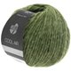 Lana Grossa COOL AIR | 22-gris vert