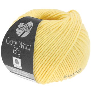 Lana Grossa COOL WOOL Big Uni/Melange