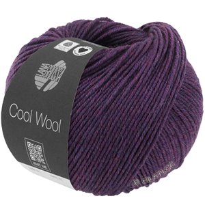 Lana Grossa COOL WOOL Mélange (We Care) | 1403-violet foncé chiné