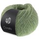 Lana Grossa CORALLO 50g | 109-vert sauge