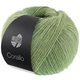 Lana Grossa CORALLO 100g | 09-gris vert/vert sauge/vert réséda