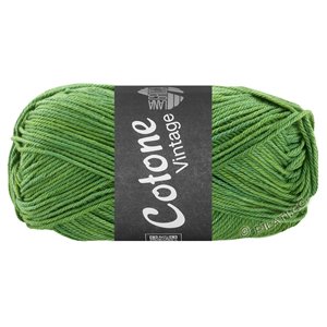 Lana Grossa COTONE Vintage | 261-vert/vert clair/jaune chiné