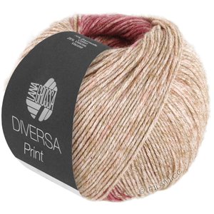 Lana Grossa DIVERSA PRINT | 102-rose vif/beige rose/beige sable/baies