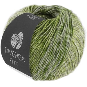 Lana Grossa DIVERSA PRINT | 107-olive/vert/vert jaune/forêt verte/gris vert