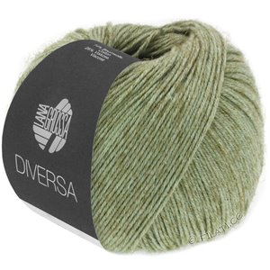 Lana Grossa DIVERSA | 10-gris vert