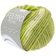 Lana Grossa FELTRO Peak | 1413-olive/vert réséda/bleu fumé/taupe