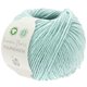 Lana Grossa FOURSEASON (Linea Pura) | 39-menthe