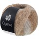 Lana Grossa GIGANTE | 20-beige sable/beige clair/gris clair/taupe
