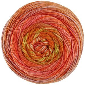 Lana Grossa  | 221-orange/rose saumon/beige/vert clair/beige vert
