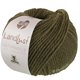 Lana Grossa LANDLUST Naturwolle | 03-vert olive